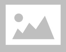 chicken kung pao with rice